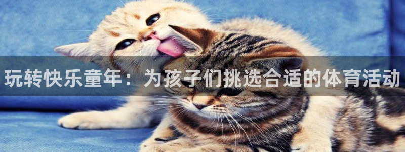 米兰体育官网下载招商电话是多少啊：玩转快乐童年：为孩