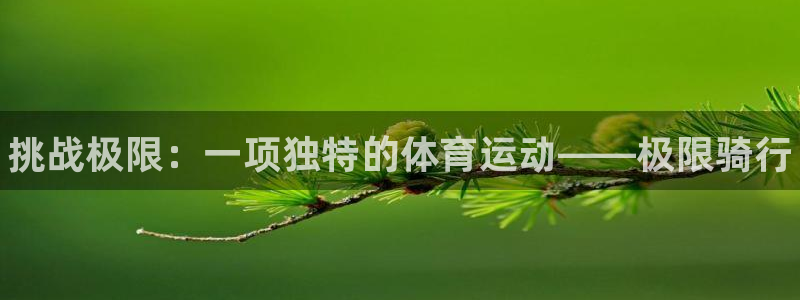 米兰体育官网下载平台是正规平台吗：挑战极限：一项独特