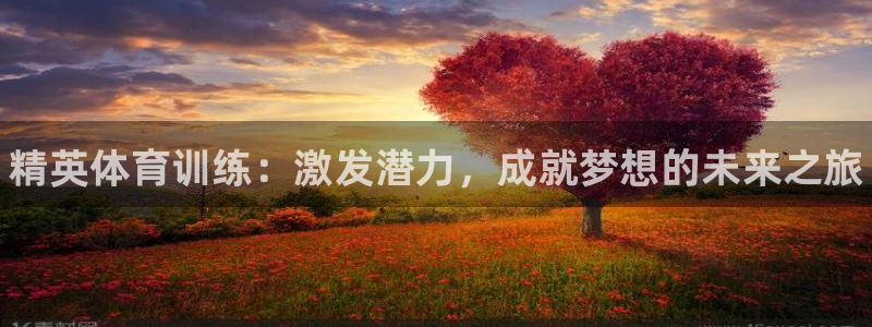 米兰体育官网下载平台注册流程视频：精英体育训练：激发