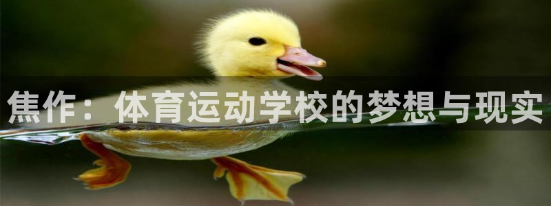 米兰体育官网下载平台注册要钱吗安全吗：焦作：体育运动学校的梦