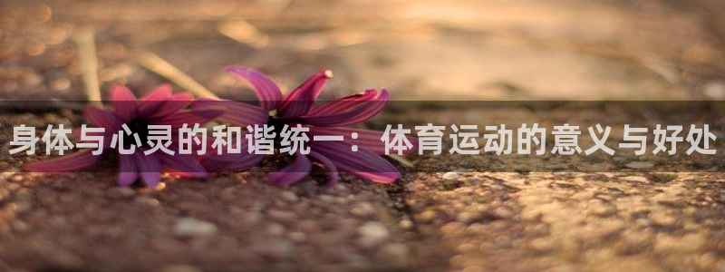 米兰体育官方正版app集团：身体与心灵的和谐统一：体育运动的