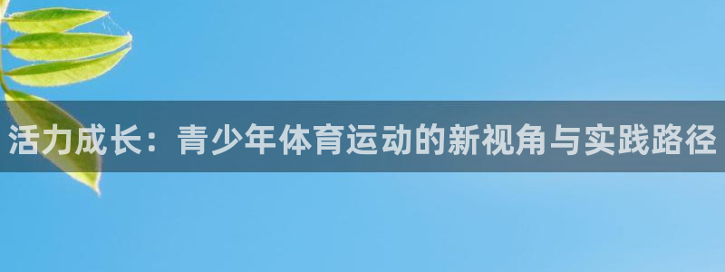 米兰体育官方正版app集团E.ON：活力成长：青少年体育运动