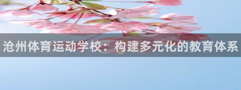 米兰体育官方正版app神州：沧州体育运动学校：构建多元化的教
