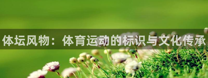 米兰体育官方正版app集团：体坛风物：体育运动的标识