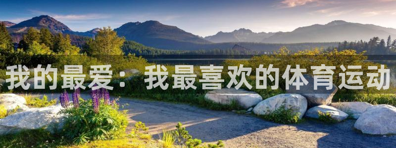 米兰体育官网下载是干嘛的公司：我的最爱：我最喜欢的体