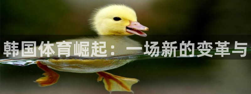 米兰体育官网下载平台是正规平台吗：韩国体育崛起：一场