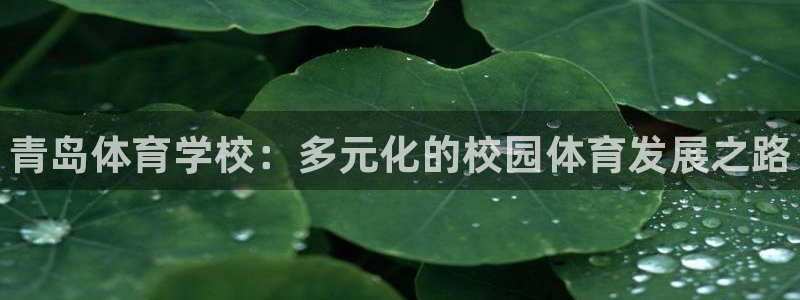 米兰体育官网下载平台是正规平台吗：青岛体育学校：多元