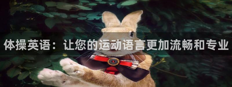 米兰体育官方正版app开户：体操英语：让您的运动语言