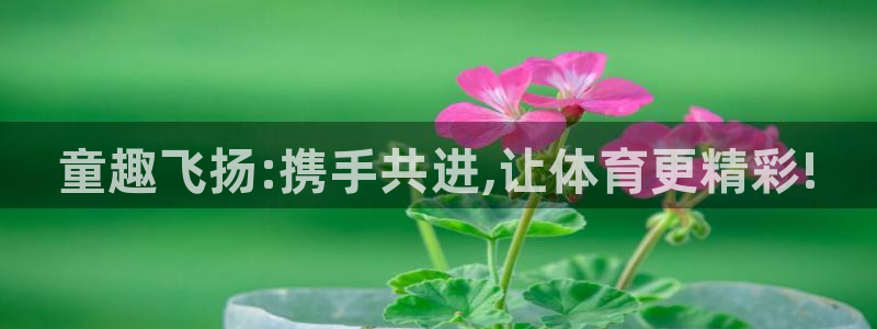 米兰体育官方正版app娱乐网站：童趣飞扬:携手共进,让体育更