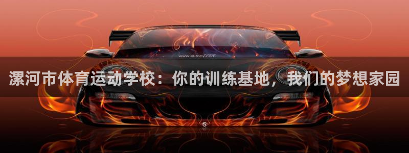 米兰体育官网下载平台假的吗是真的吗吗：漯河市体育运动
