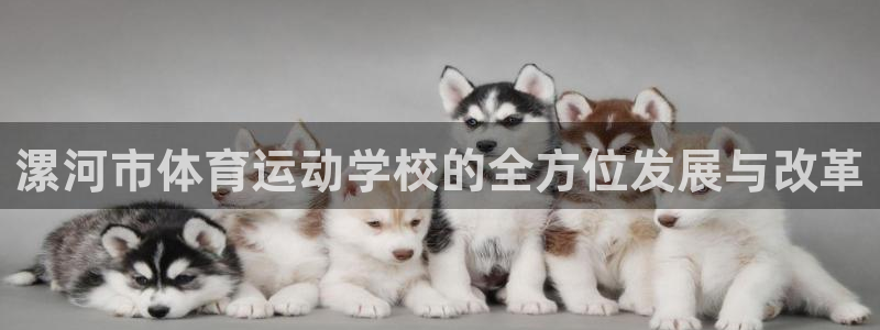 米兰体育官网下载官方客服电话