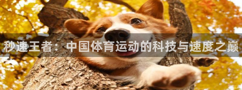 米兰体育官方正版app娱乐