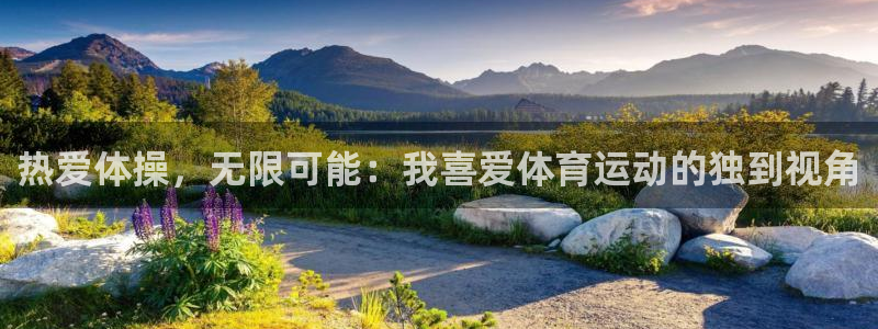 米兰体育官方正版app娱乐首页官网下载：热爱体操，无限可能：
