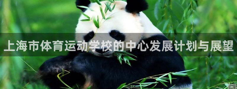 米兰体育官方正版app神州：上海市体育运动学校的中心发展计划