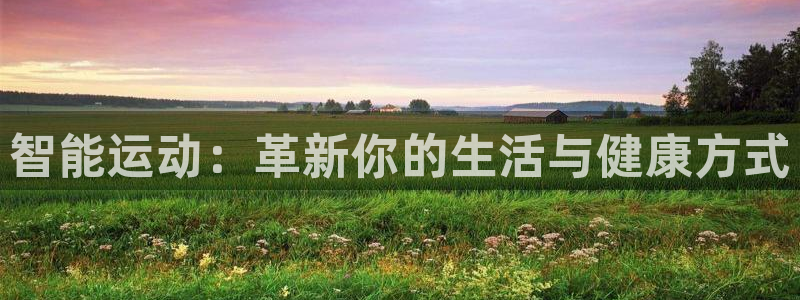 米兰体育官方正版app娱乐40996：智能运动：革新