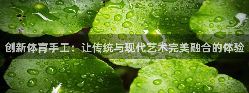 米兰体育官网下载招商电话号码是多少：创新体育手工：让传统与现