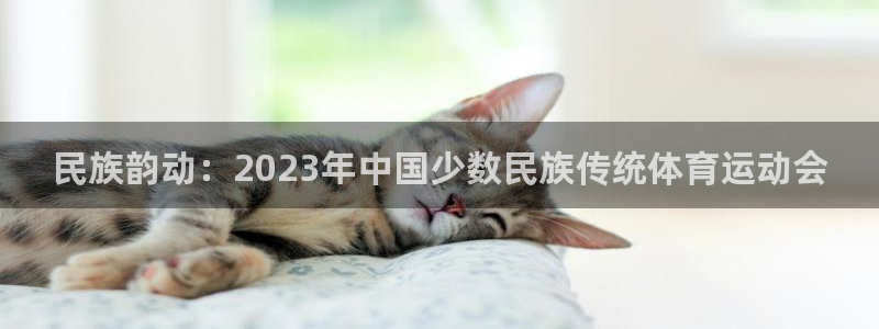 米兰体育官方平台体育：民族韵动：2023年中国少数民