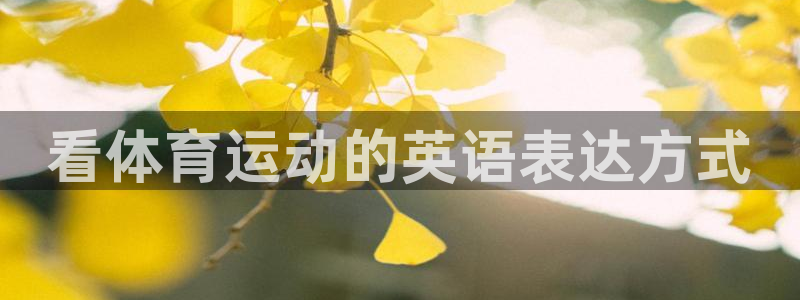 米兰体育官方正版app集团E.ON