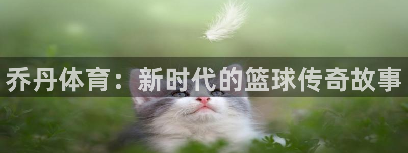 米兰体育官方正版app新能源：乔丹体育：新时代的篮球