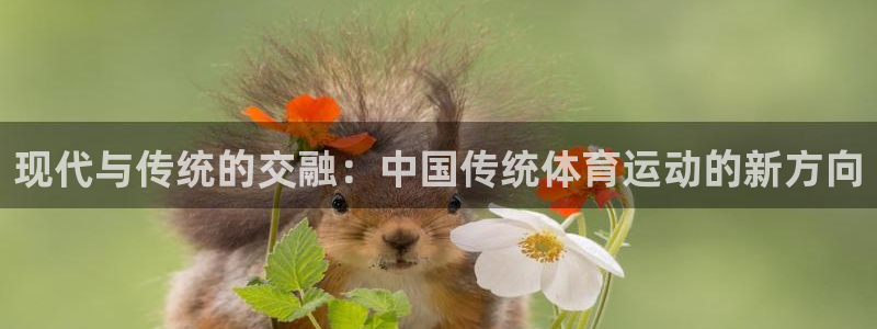 米兰体育官网下载平台是正规平台吗知乎：现代与传统的交