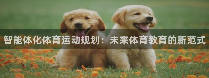 米兰体育娱乐·中国官方网