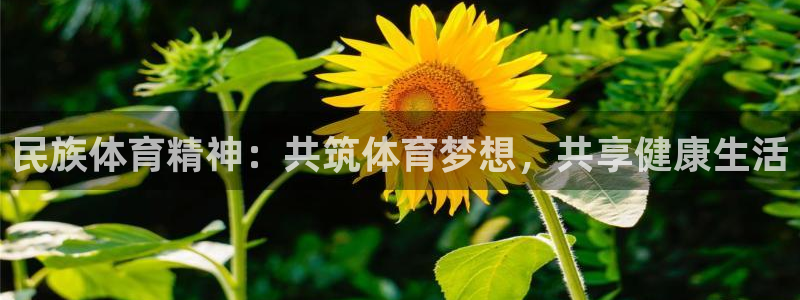  米兰体育买赛票可靠吗安全吗：民族体育精神：共筑体育梦想，共享