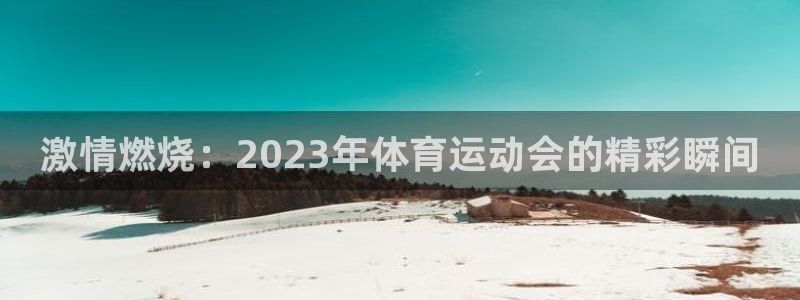 米兰体育报洗地红鸟：激情燃烧：2023年体育运动会的精彩瞬间