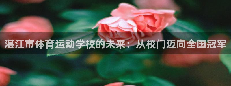 米兰体育能赚钱吗